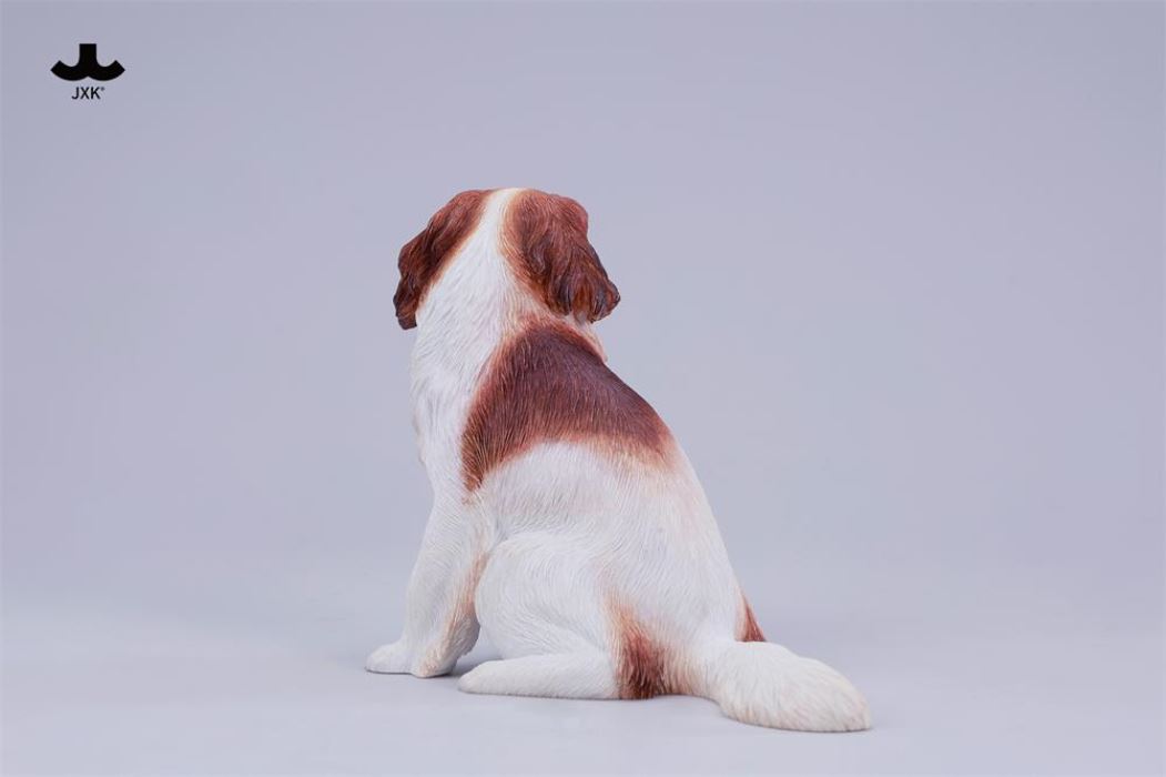 Kooikerhondje