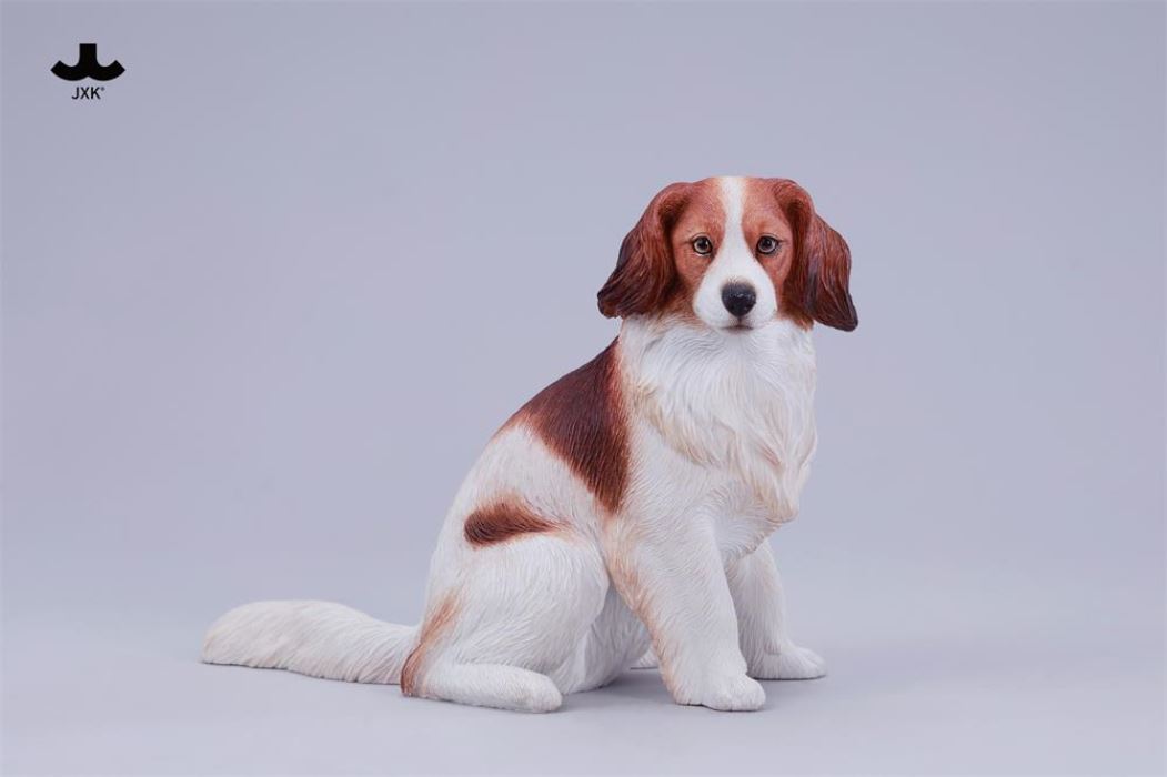 Kooikerhondje