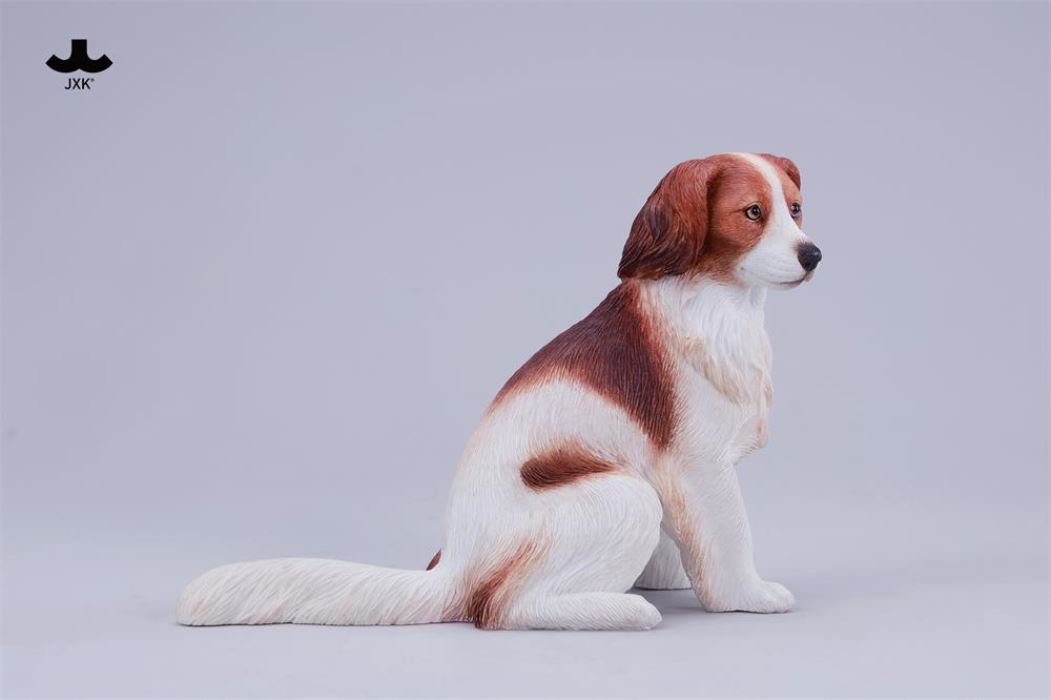Kooikerhondje