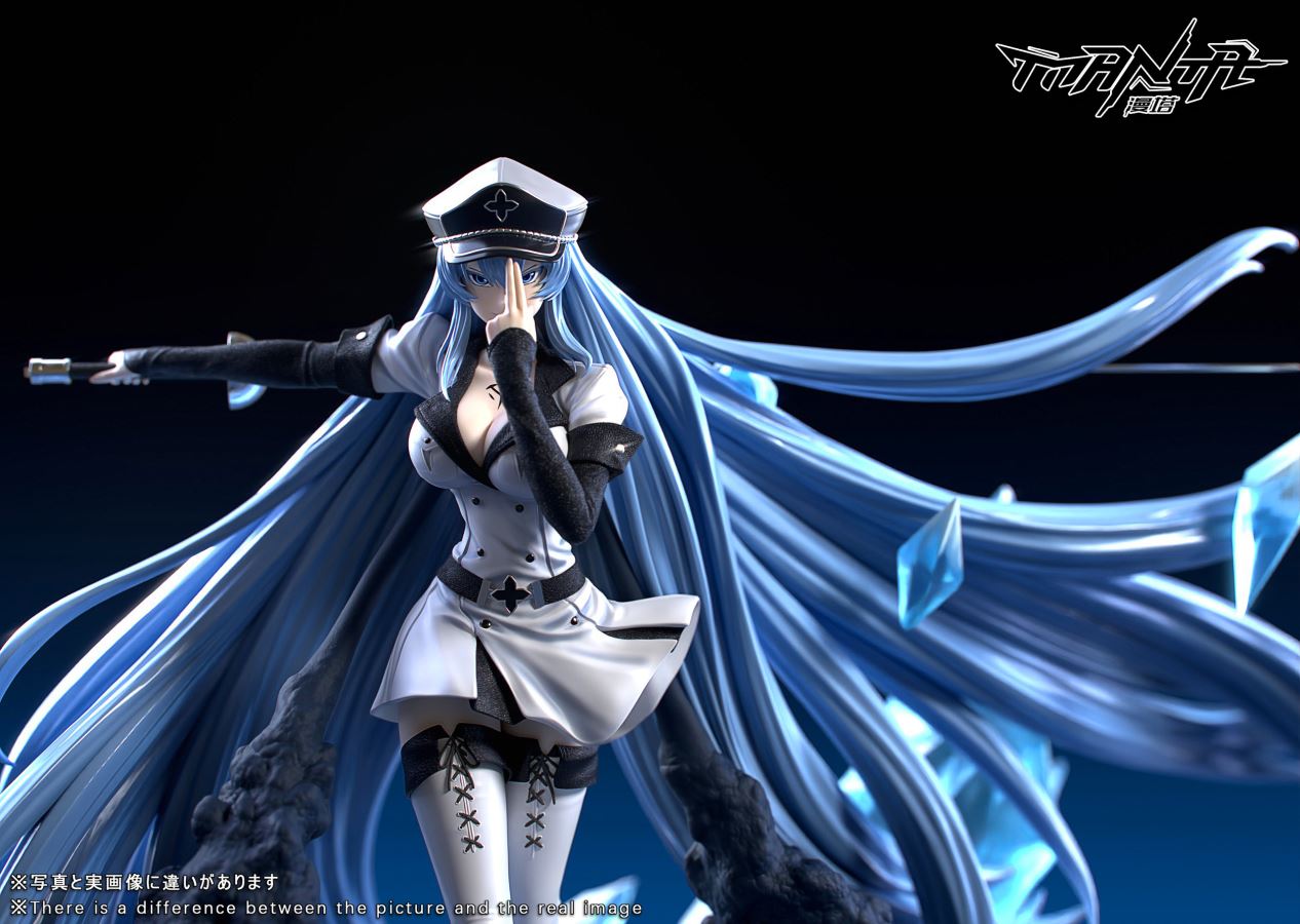 Esdeath - Akame Ga Kill! 1/6