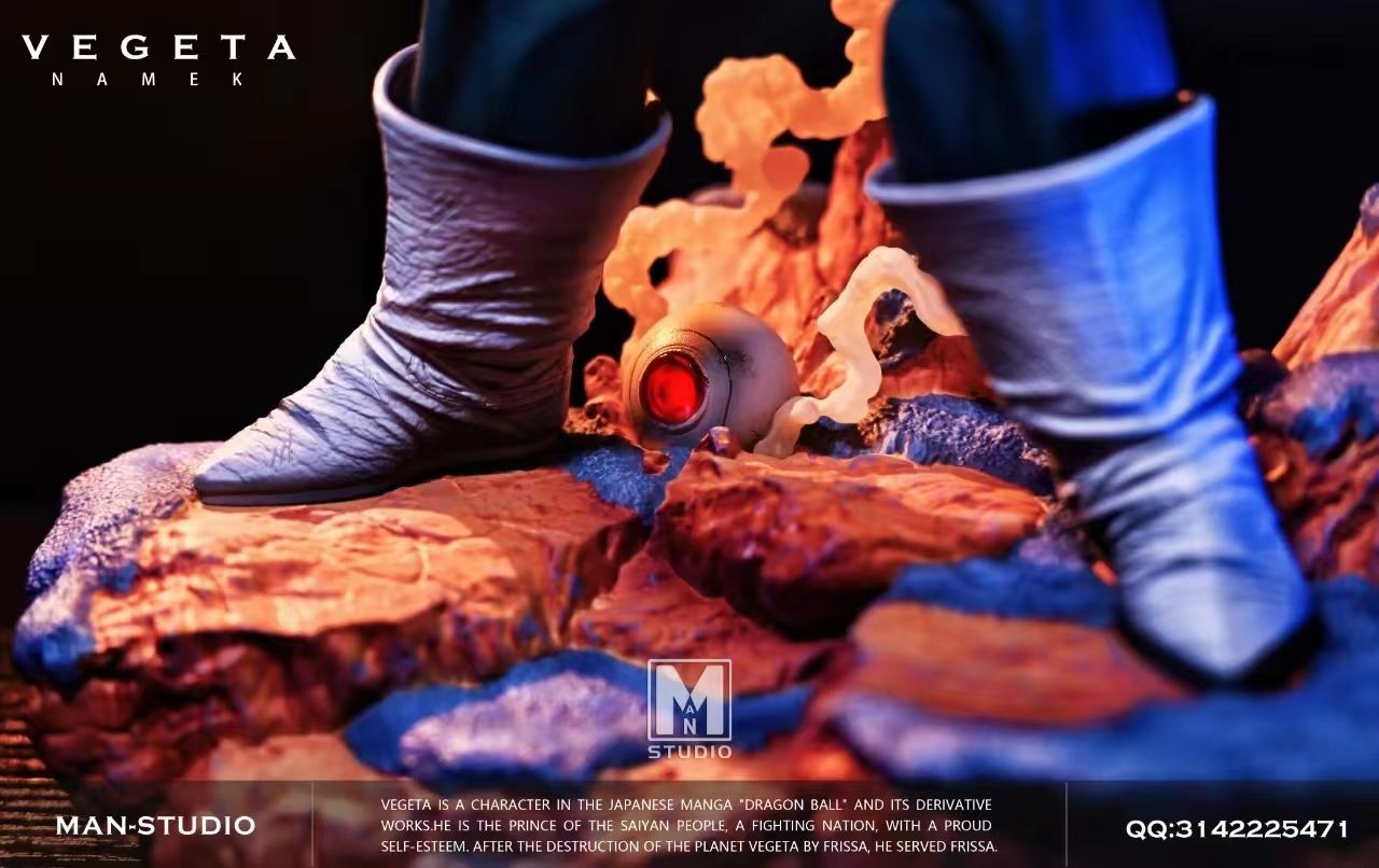 VEGETA - Dragon Ball