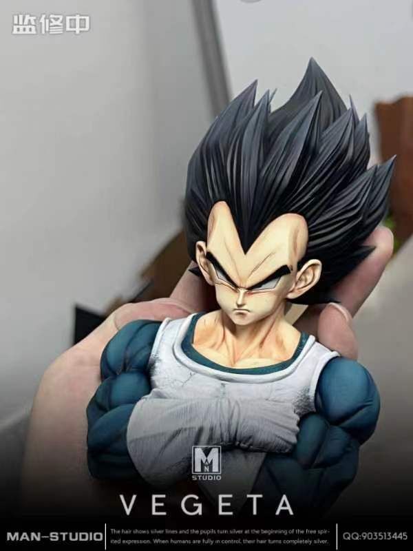 VEGETA - Dragon Ball