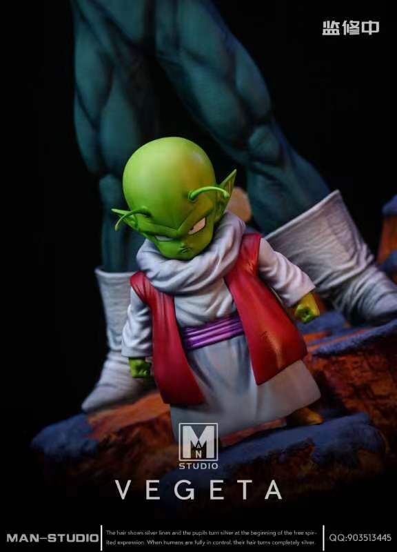 VEGETA - Dragon Ball