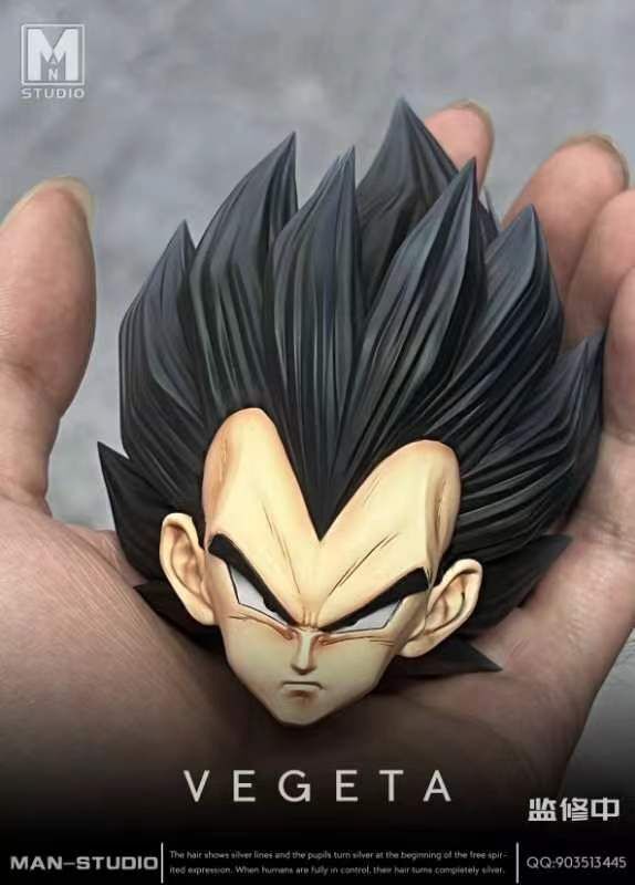 VEGETA - Dragon Ball