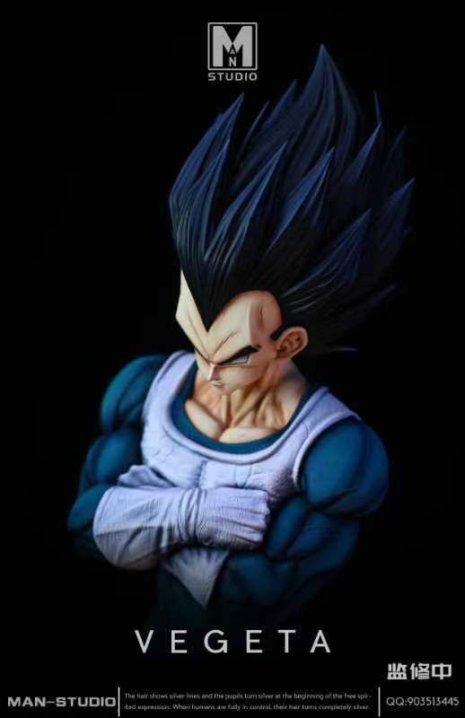 VEGETA - Dragon Ball
