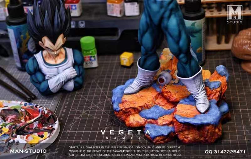 VEGETA - Dragon Ball