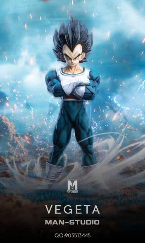 VEGETA - Dragon Ball