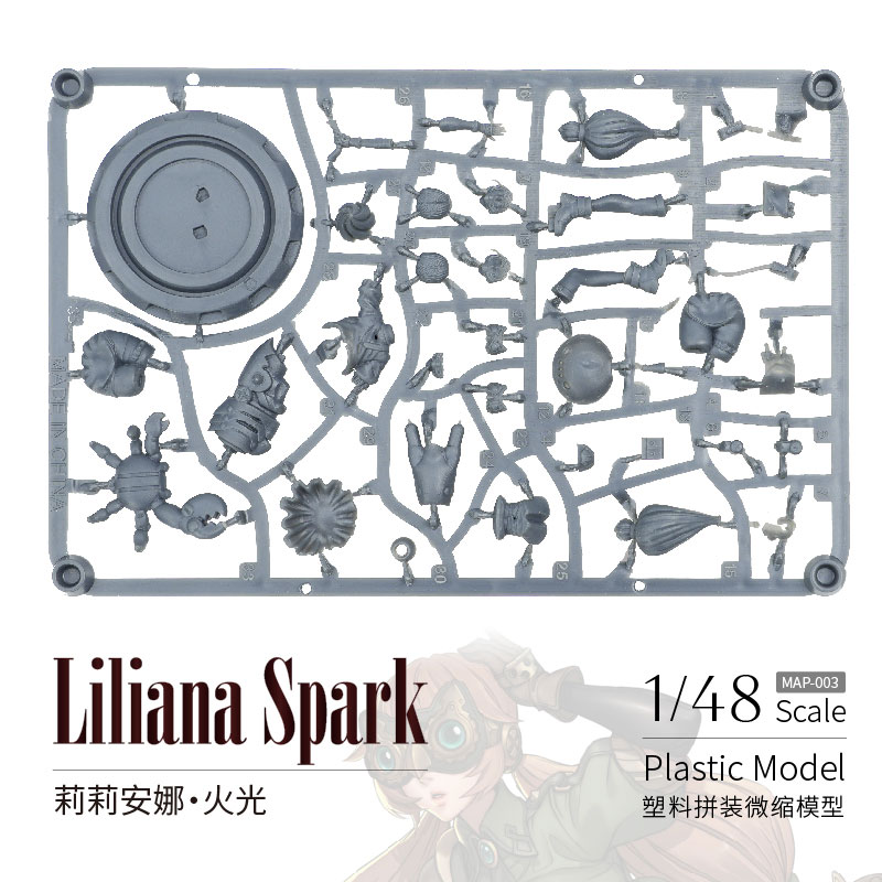 Liliana Spark 1/48 Unpainted Miniature Plastic Model Kit