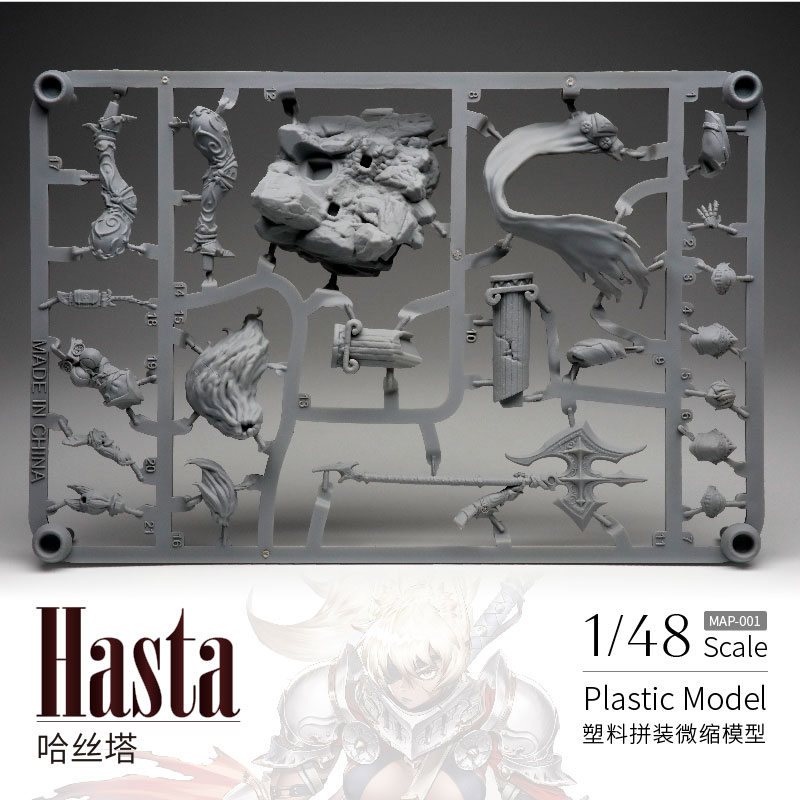 Hasta 1/48 Unpainted Miniature Plastic Model Kit