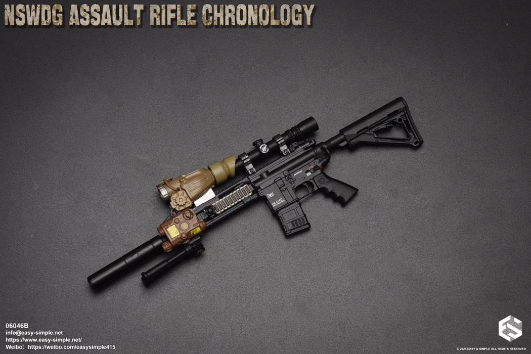 NSWDG Assault Rifle Chronology