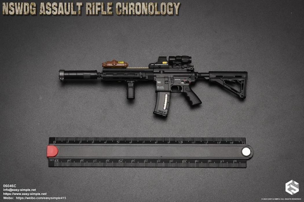 NSWDG Assault Rifle Chronology