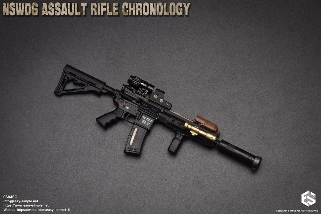 NSWDG Assault Rifle Chronology