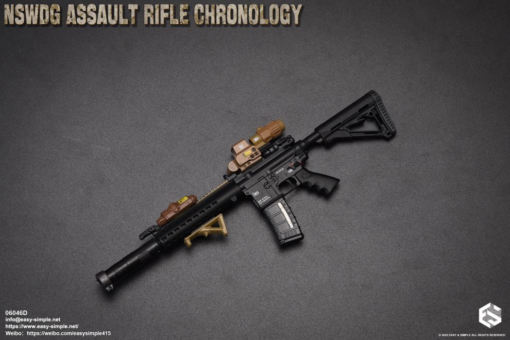 NSWDG Assault Rifle Chronology
