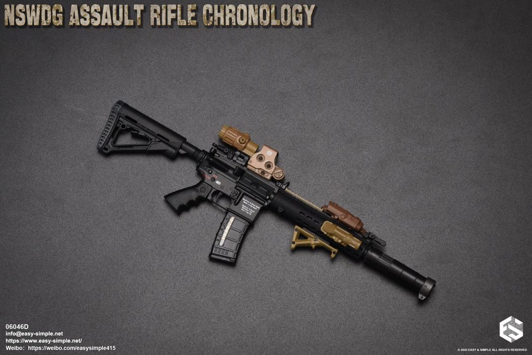 NSWDG Assault Rifle Chronology