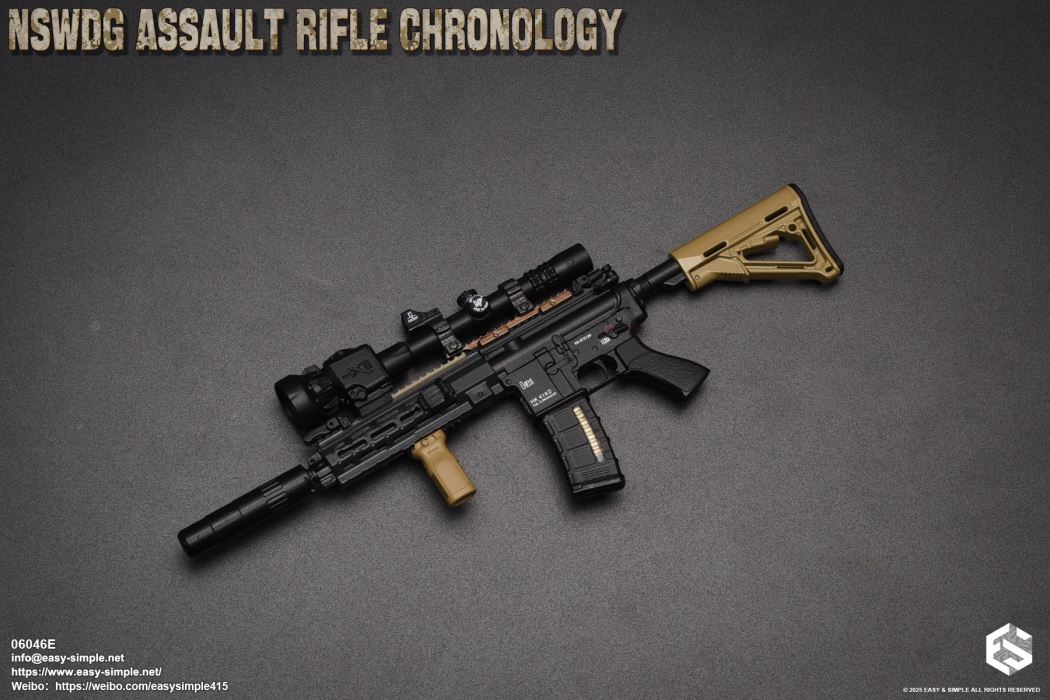NSWDG Assault Rifle Chronology