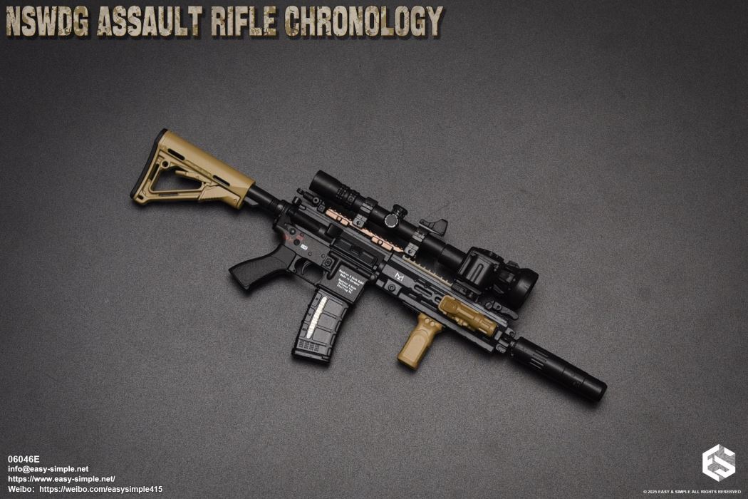 NSWDG Assault Rifle Chronology
