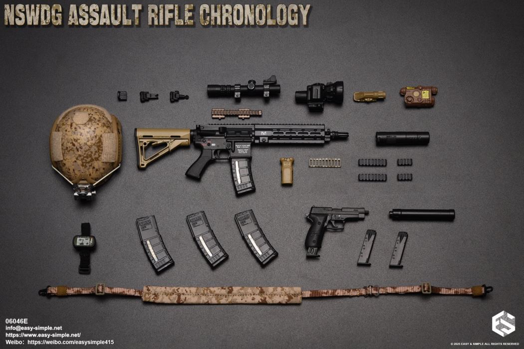 NSWDG Assault Rifle Chronology