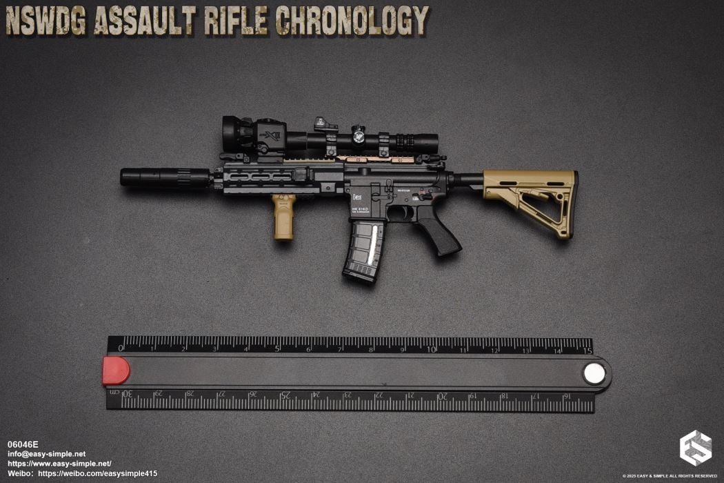 NSWDG Assault Rifle Chronology