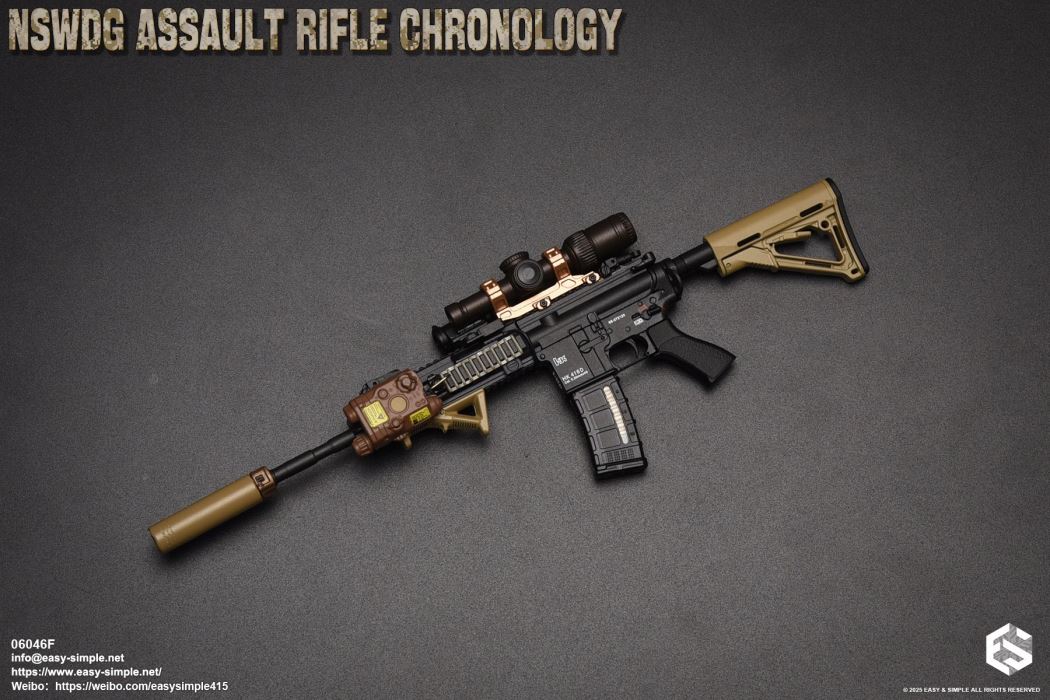 NSWDG Assault Rifle Chronology
