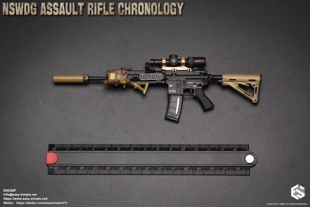 NSWDG Assault Rifle Chronology