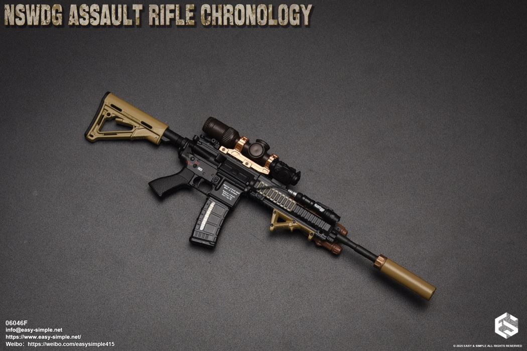 NSWDG Assault Rifle Chronology