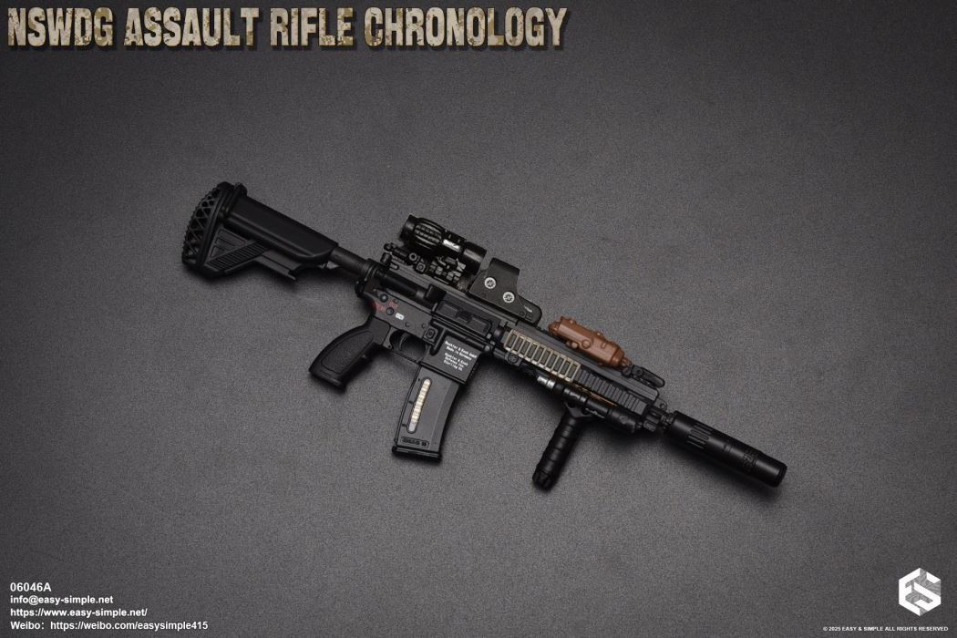 NSWDG Assault Rifle Chronology
