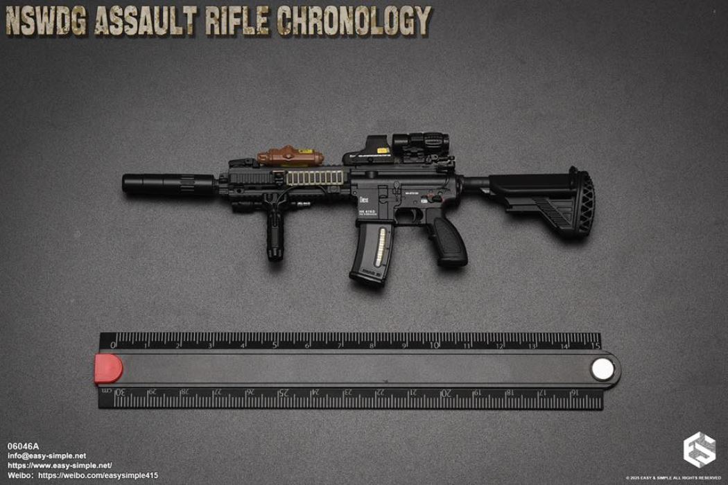 NSWDG Assault Rifle Chronology