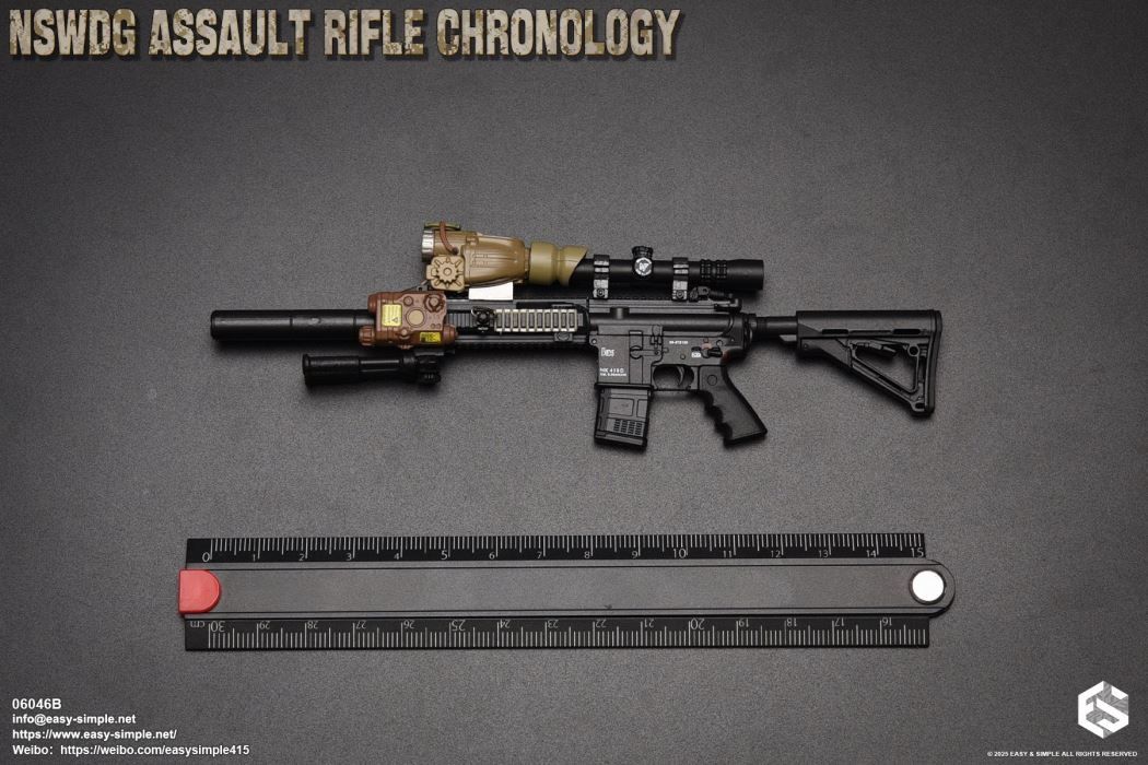 NSWDG Assault Rifle Chronology