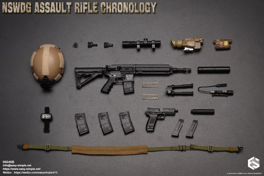 NSWDG Assault Rifle Chronology