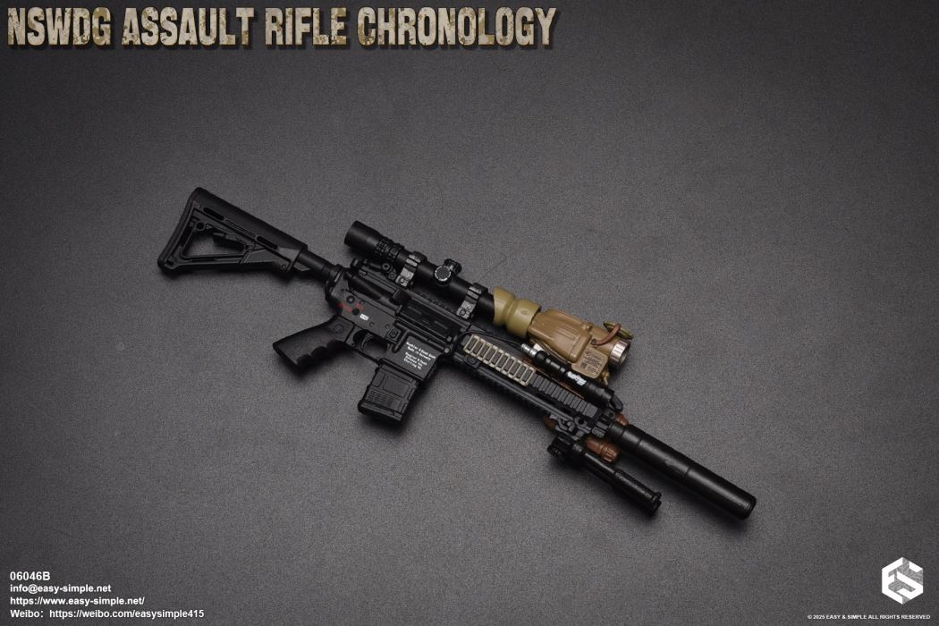 NSWDG Assault Rifle Chronology