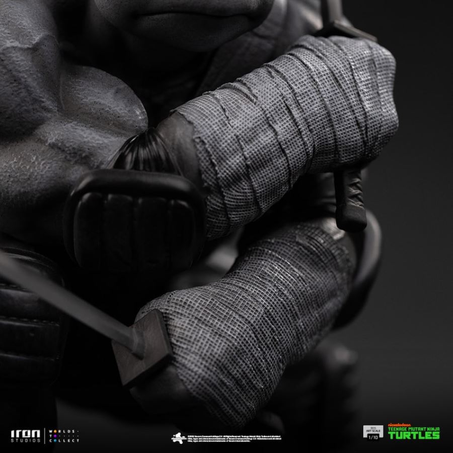 Leonardo (Grayscale) 1/10