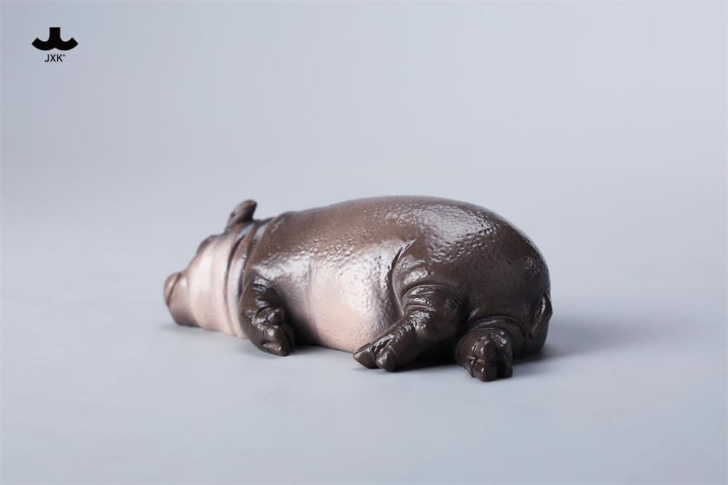 Baby Hippopotamus MooDeng