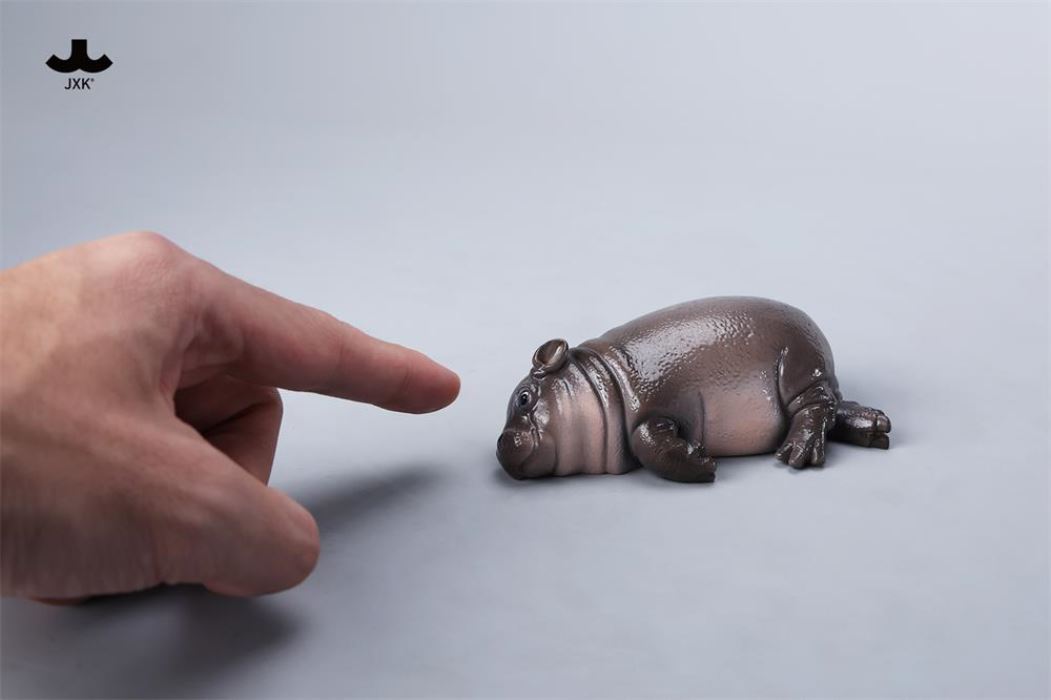 Baby Hippopotamus MooDeng