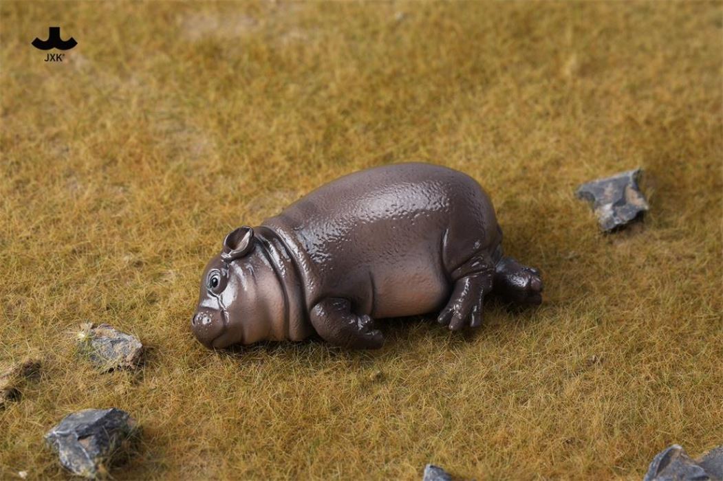 Baby Hippopotamus MooDeng