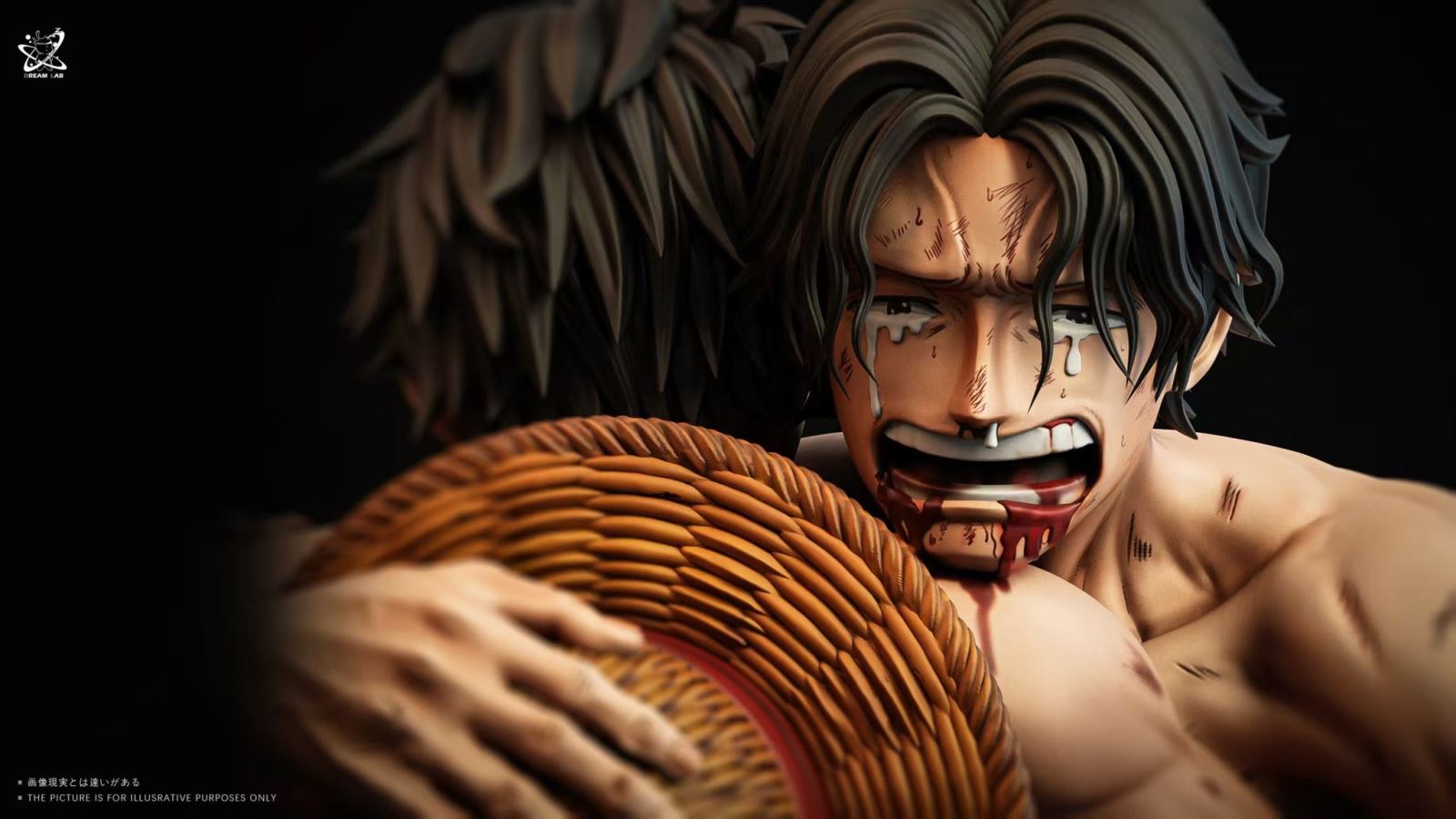 Ace and Luffy Summit War Saga Farewell - One Piece