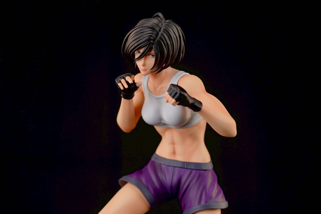 Mikasa the Fist Fighter - Attack on Titan