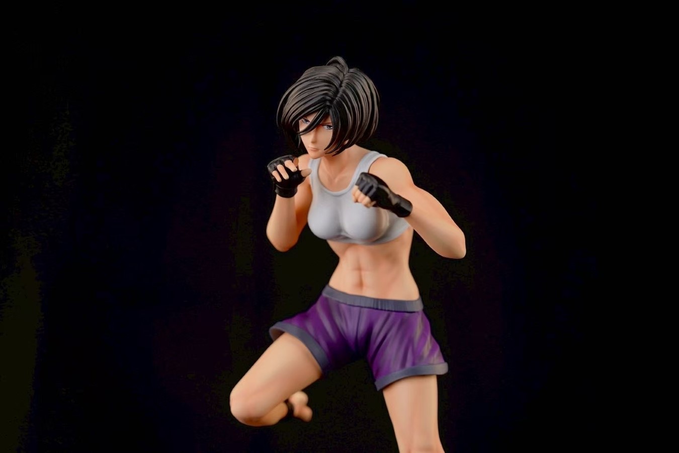 Mikasa the Fist Fighter - Attack on Titan