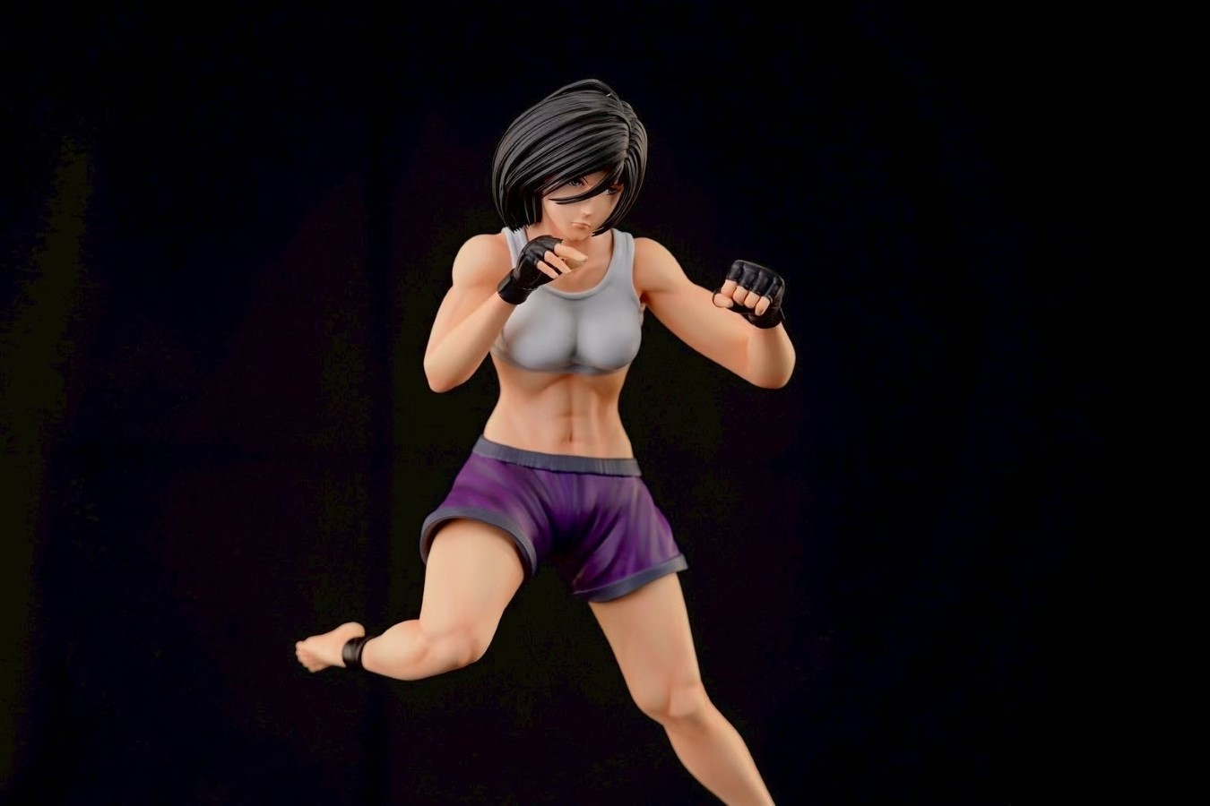 Mikasa the Fist Fighter - Attack on Titan