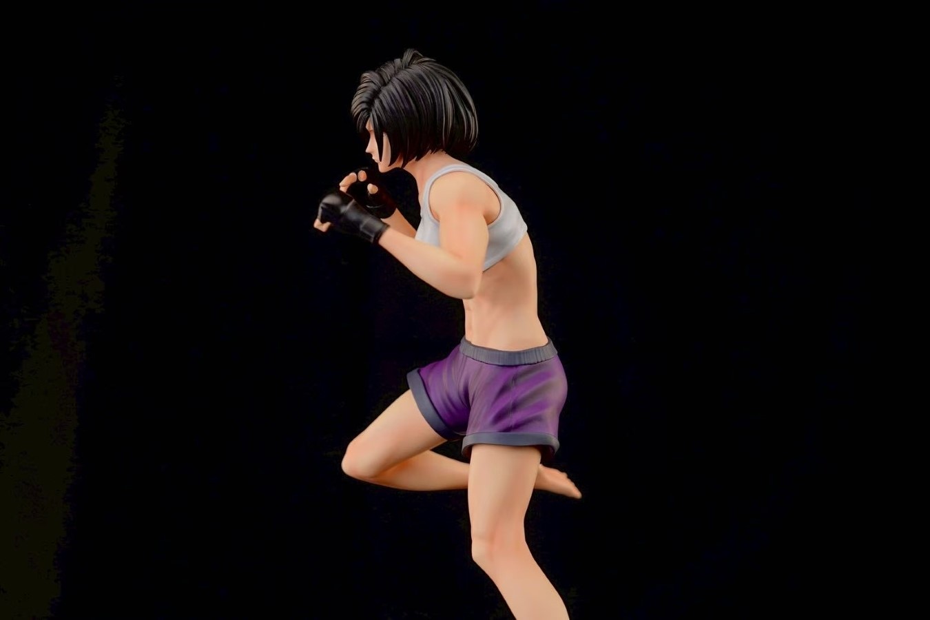 Mikasa the Fist Fighter - Attack on Titan