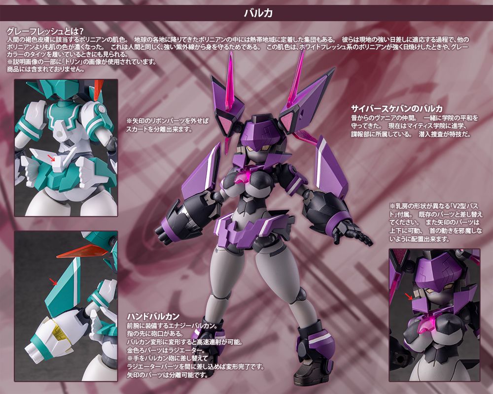 Polynian Motoroid Barca