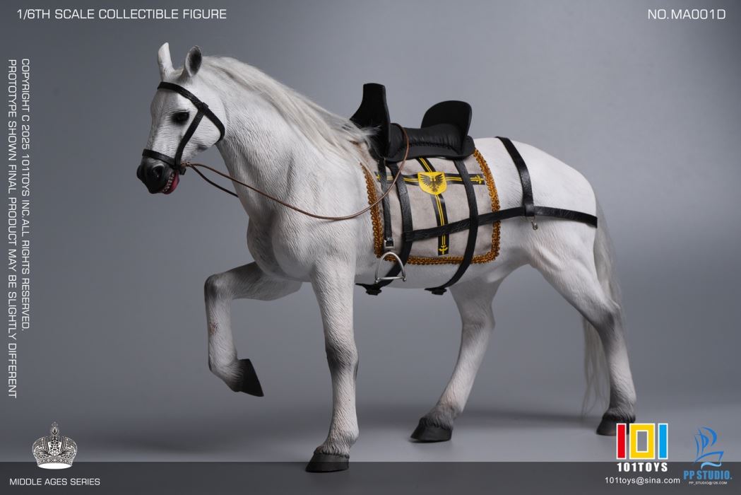 Medieval Teutonic Commander 1/6