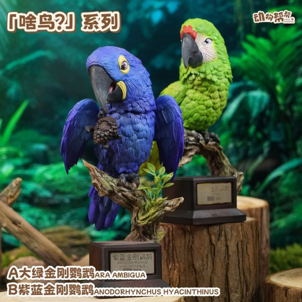Animal Farm Bird Series Parrot