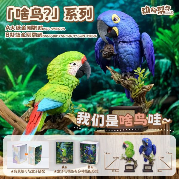 Animal Farm Bird Series Parrot