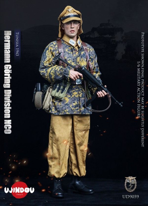 WWII Hermann Goring Division, Tunisia, 1943 1/6