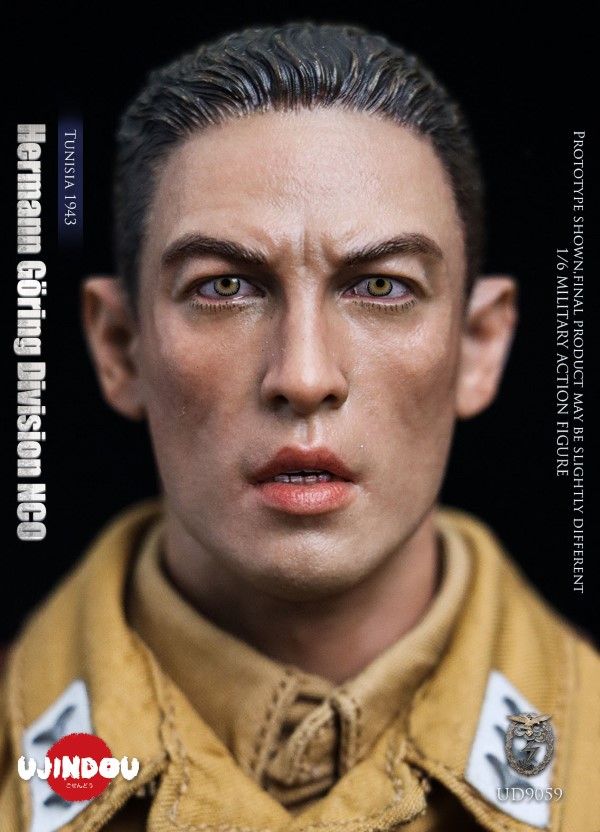 WWII Hermann Goring Division, Tunisia, 1943 1/6