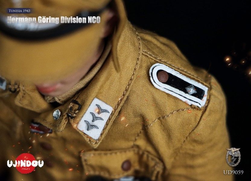 WWII Hermann Goring Division, Tunisia, 1943 1/6
