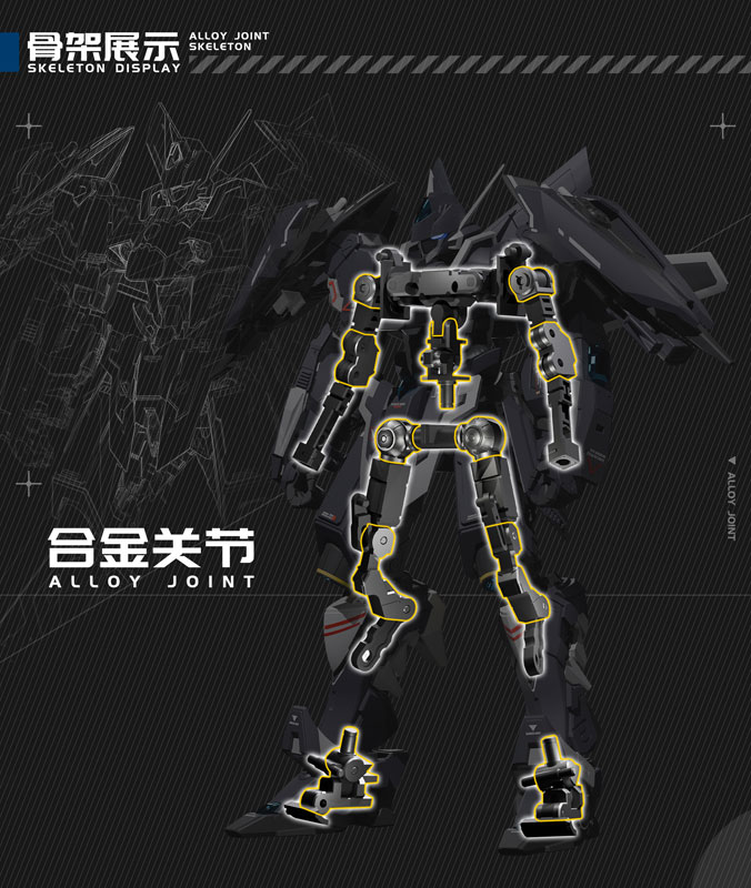 Dragon Soul Fighter Series J-20 Cang Wei