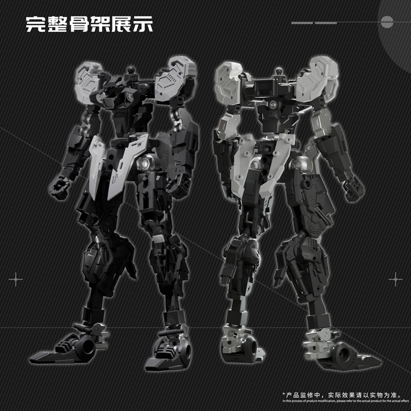 Dragon Soul Fighter Series J-20 Cang Wei