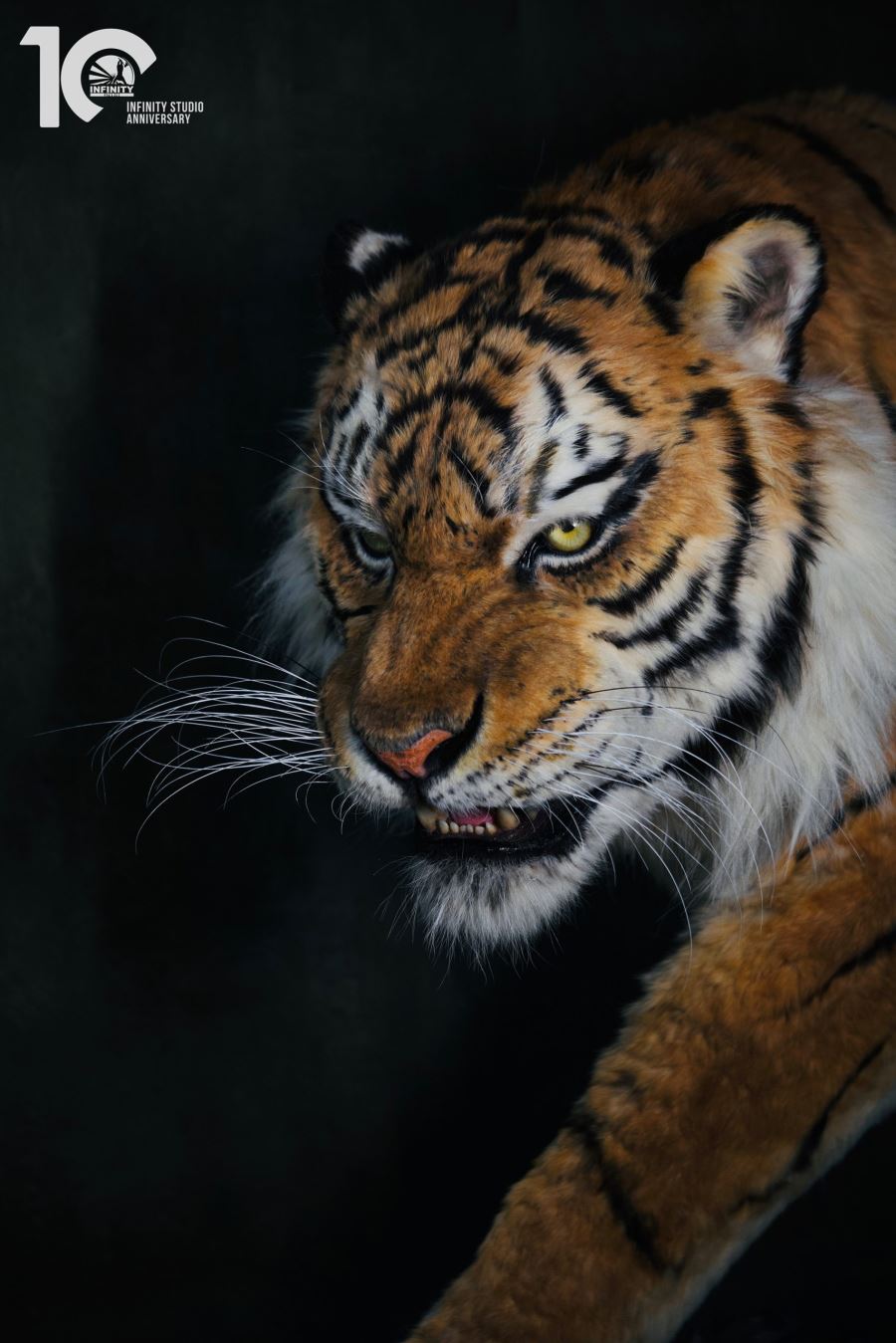 Original 1/1 Museum-grade replica of Siberian tiger