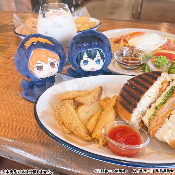 LookUp Poncho Haikyuu!! Hinagarasu